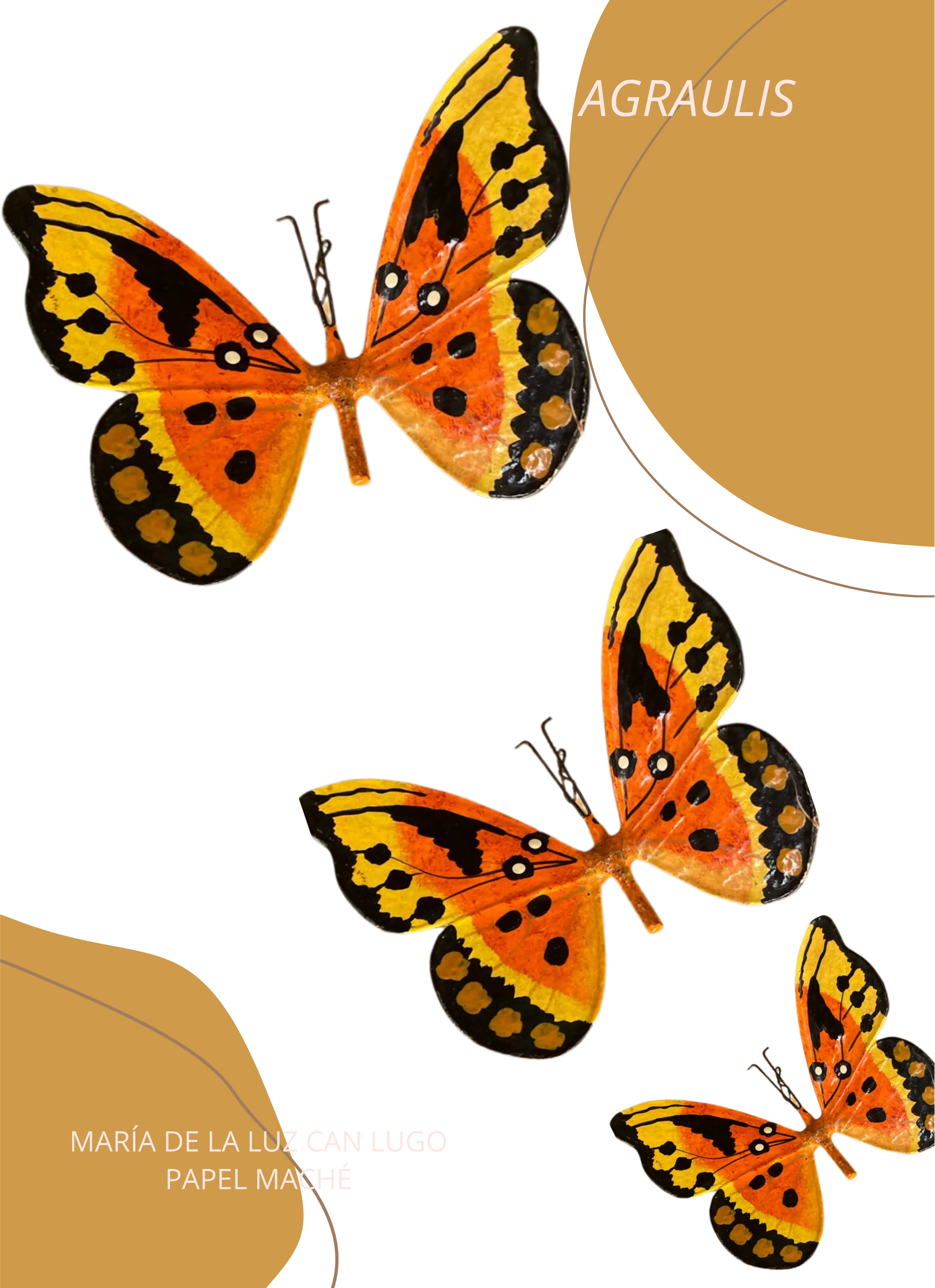Agraulis