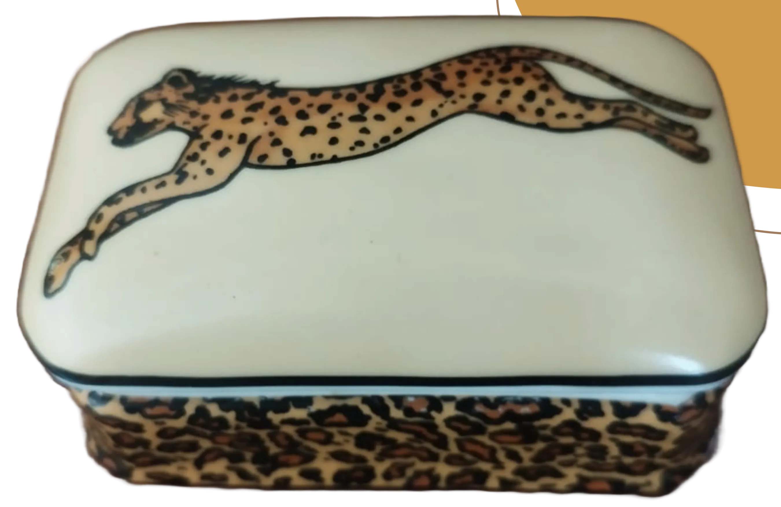 Alhajero leopardo