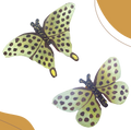 Argynnis paphia