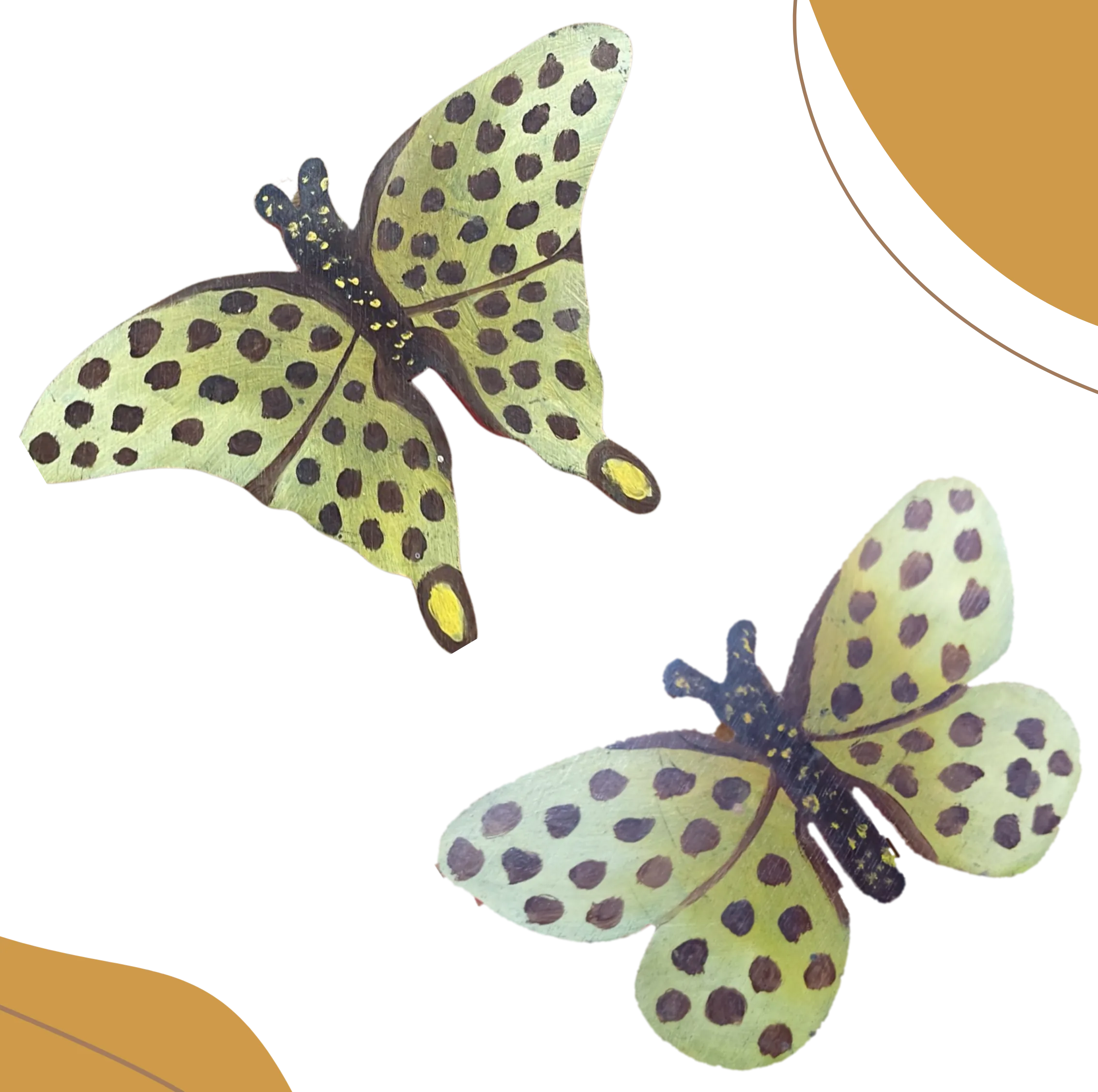 Argynnis paphia