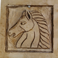 Cabeza de caballo
