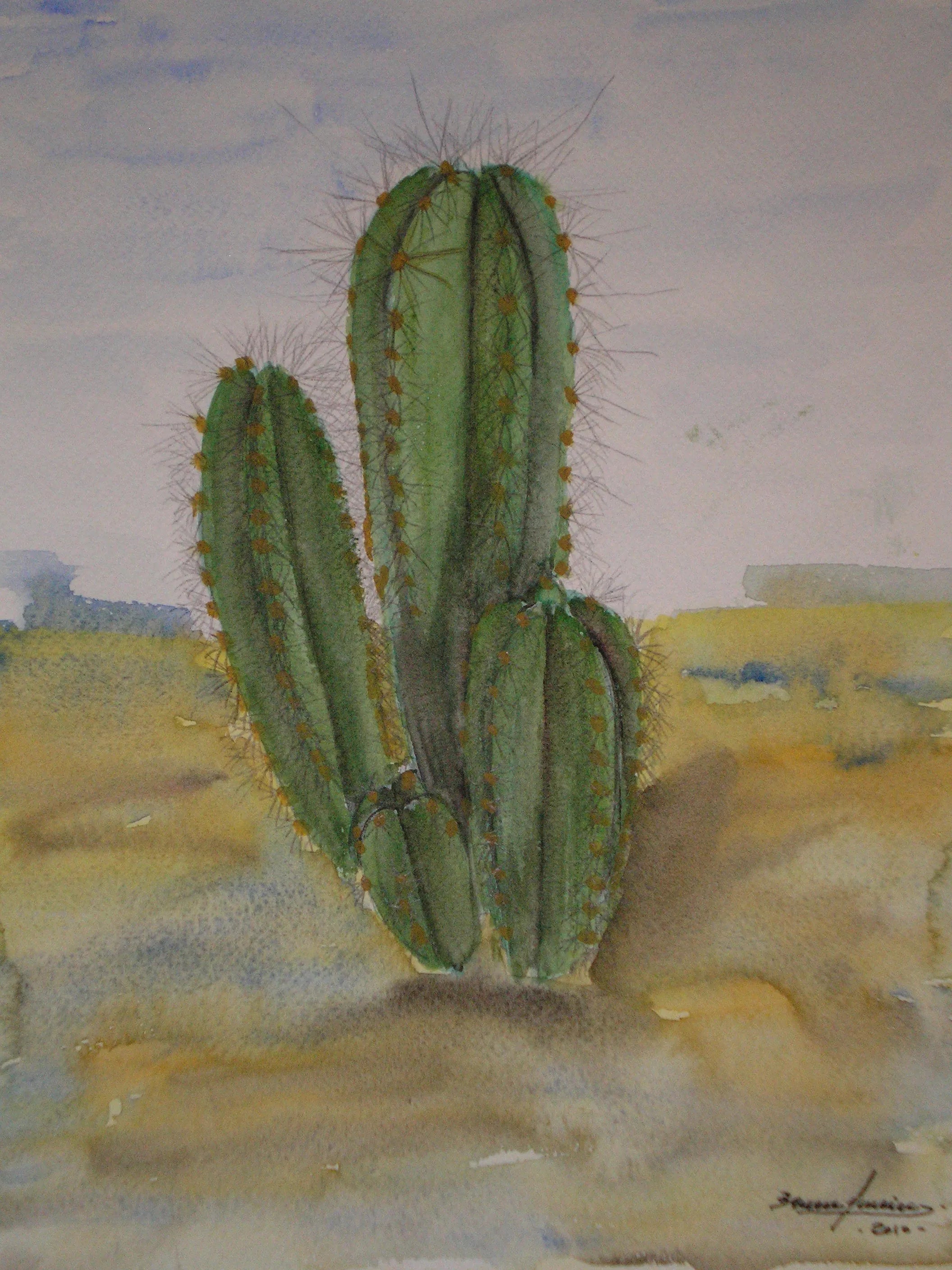 Cactus