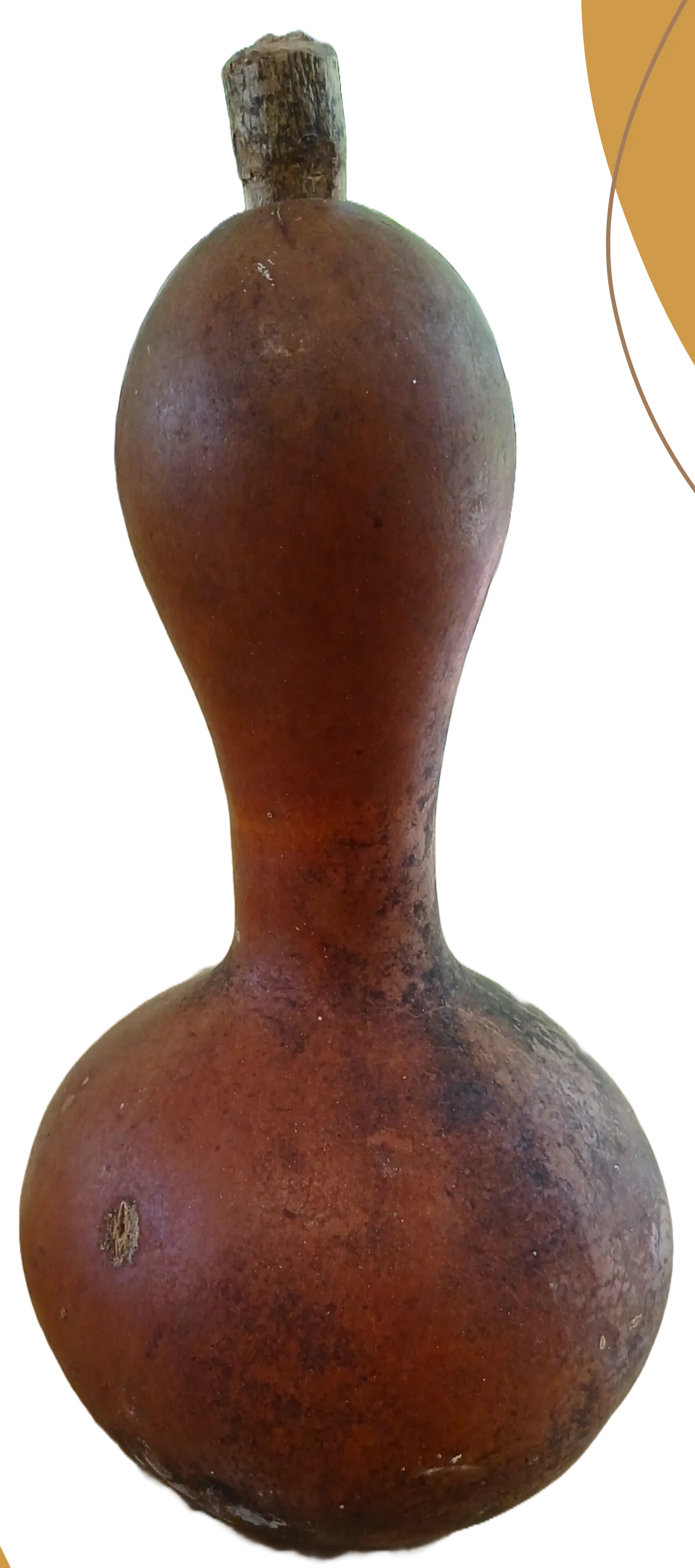 Calabazos para balché