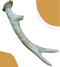 Cuerno de venado tallado