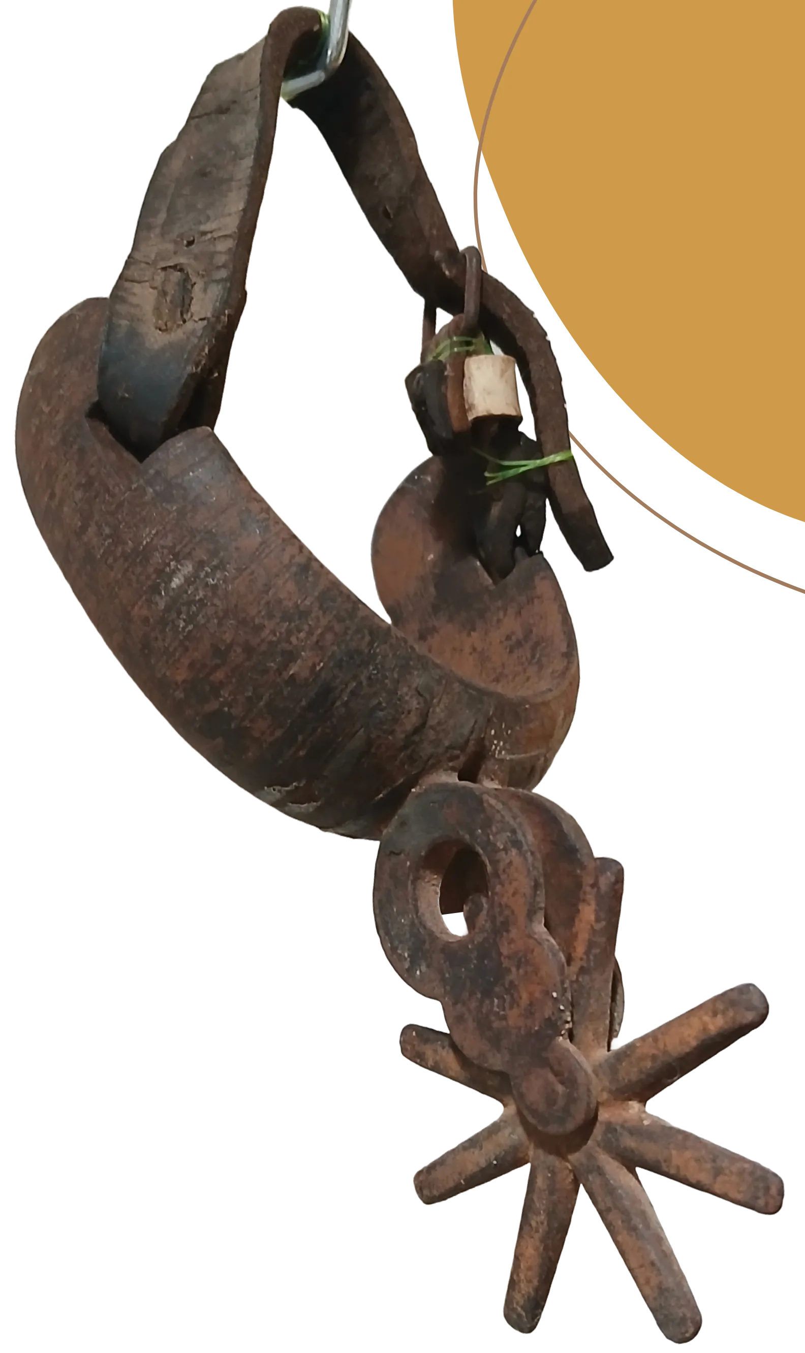 Espuela