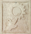 Flor de piedra