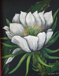 Flor de pitahaya
