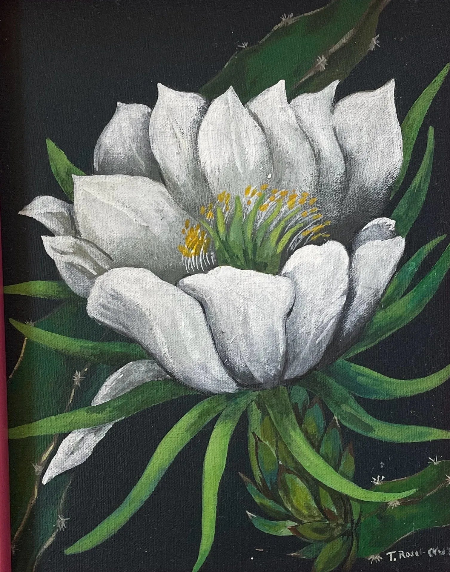 Flor de pitahaya