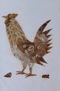 Gallo de alas de mariposa 2