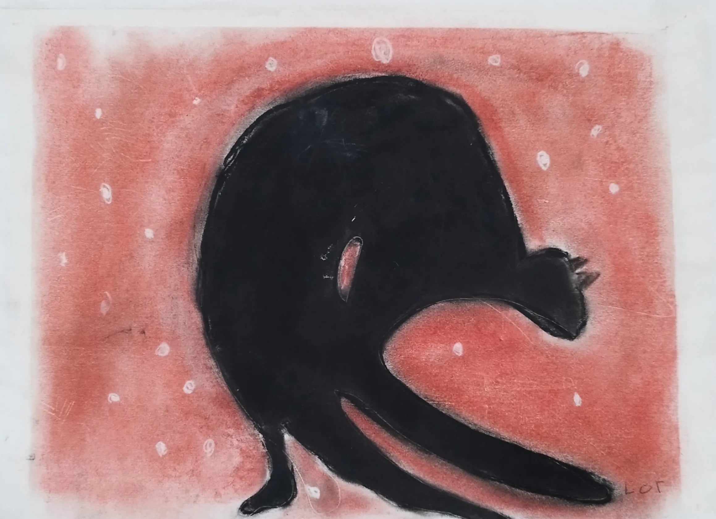 Gato equilibrista