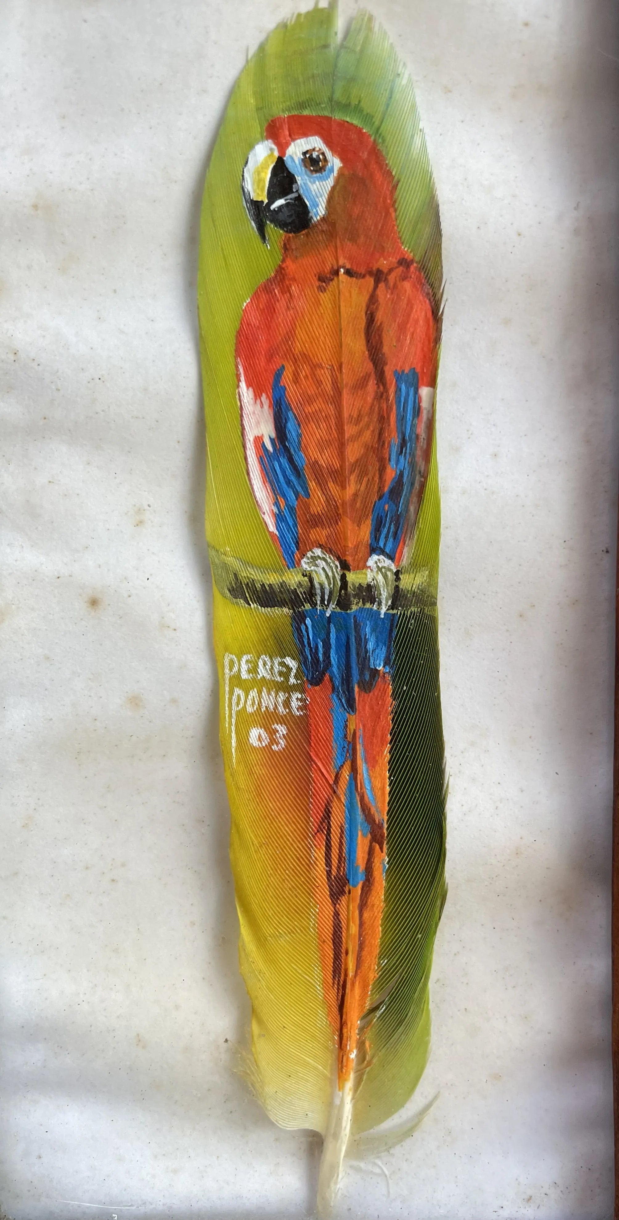 Guacamaya