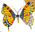 Macaón