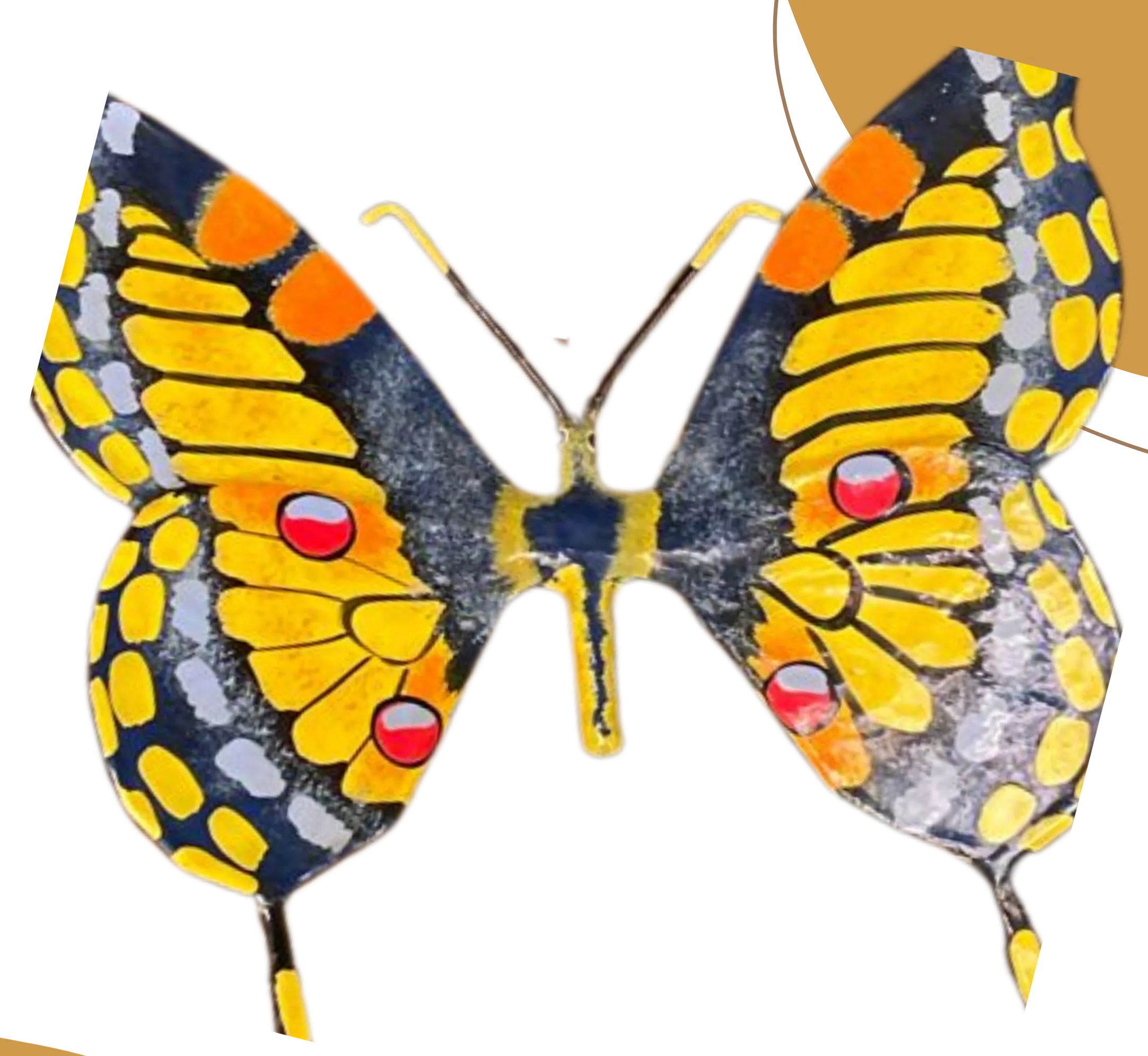 Macaón