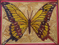 Mariposas 1