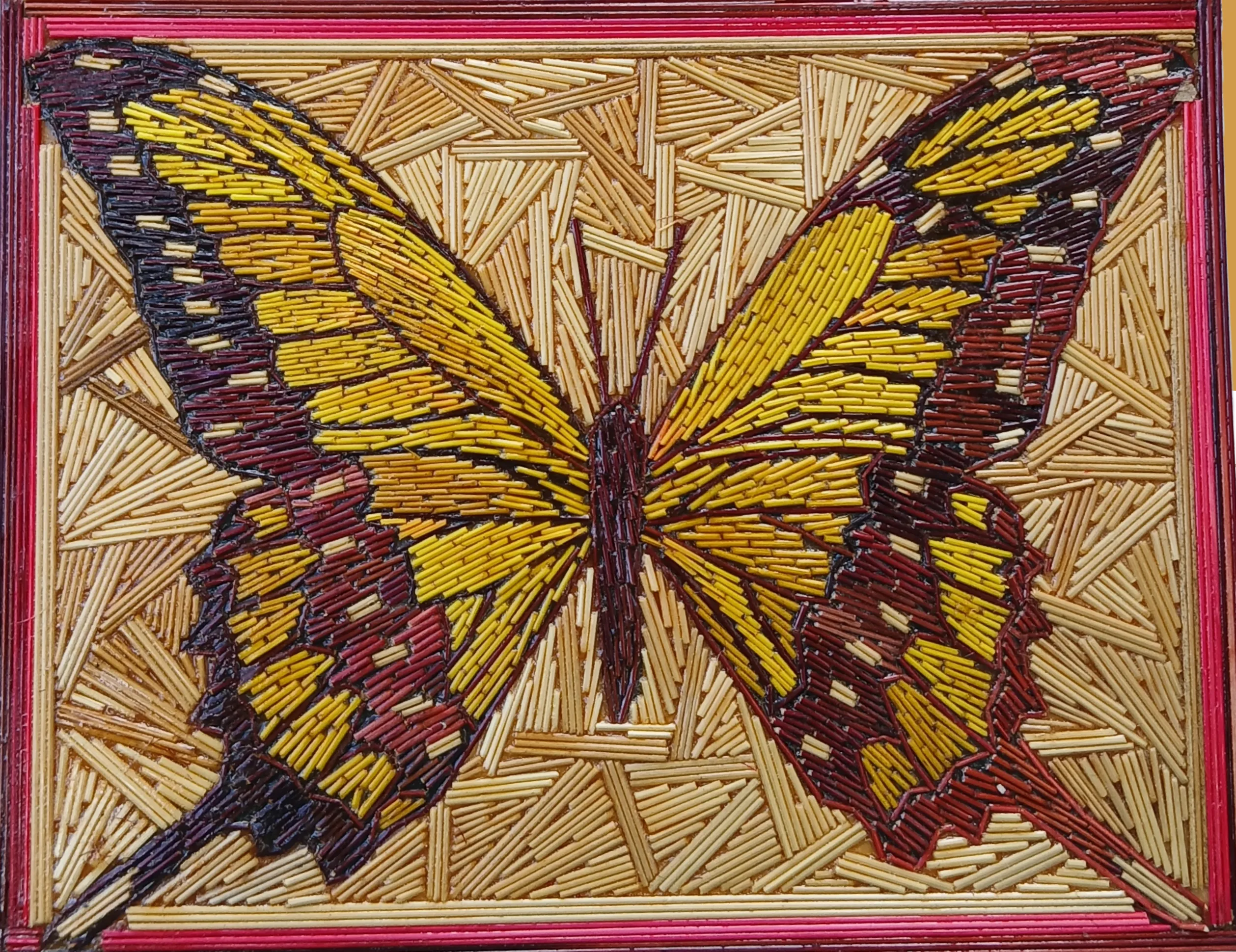 Mariposas 1