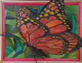 Mariposas 2