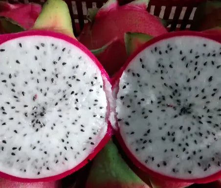 PITAHAYA