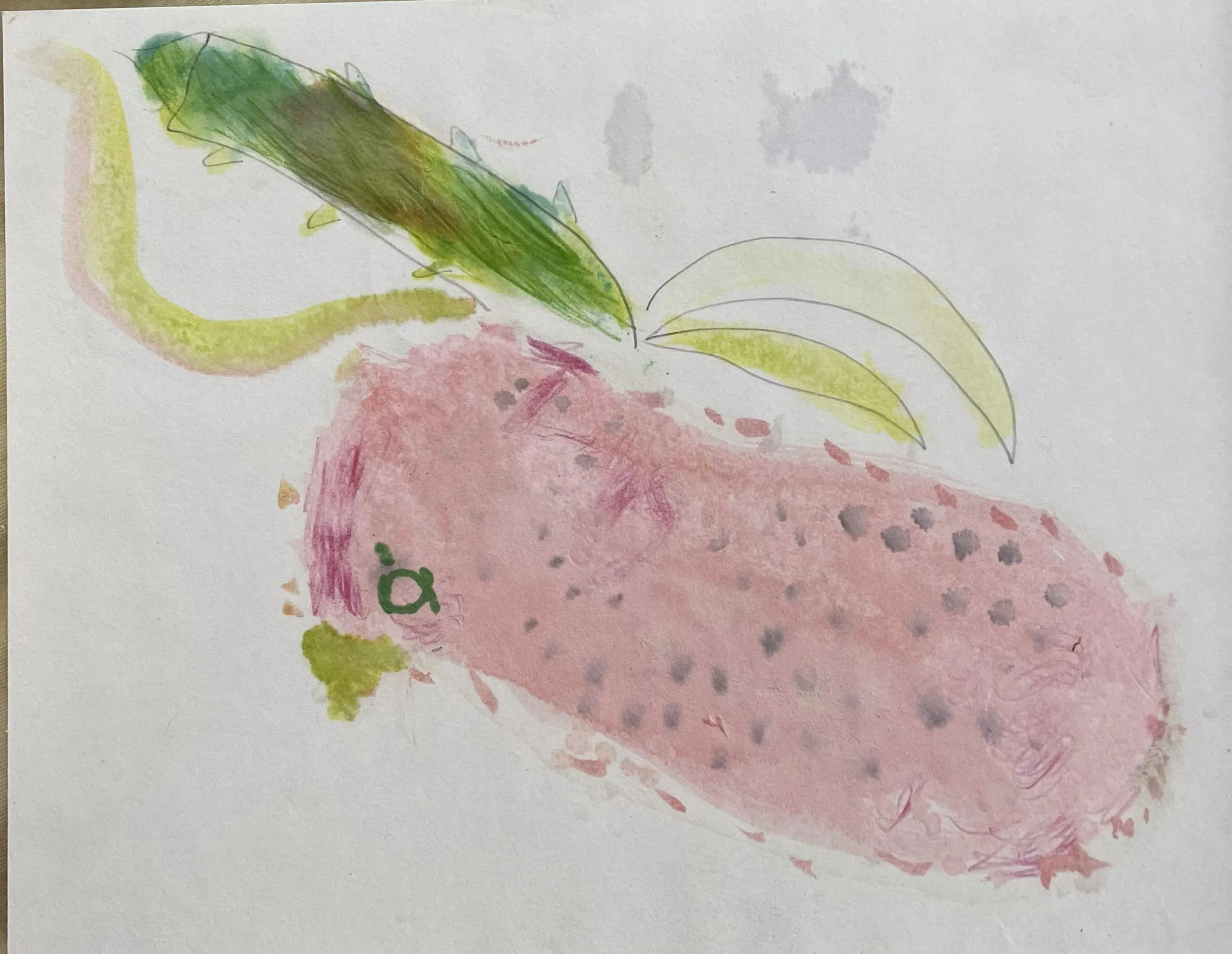 Pájaro pitahaya
