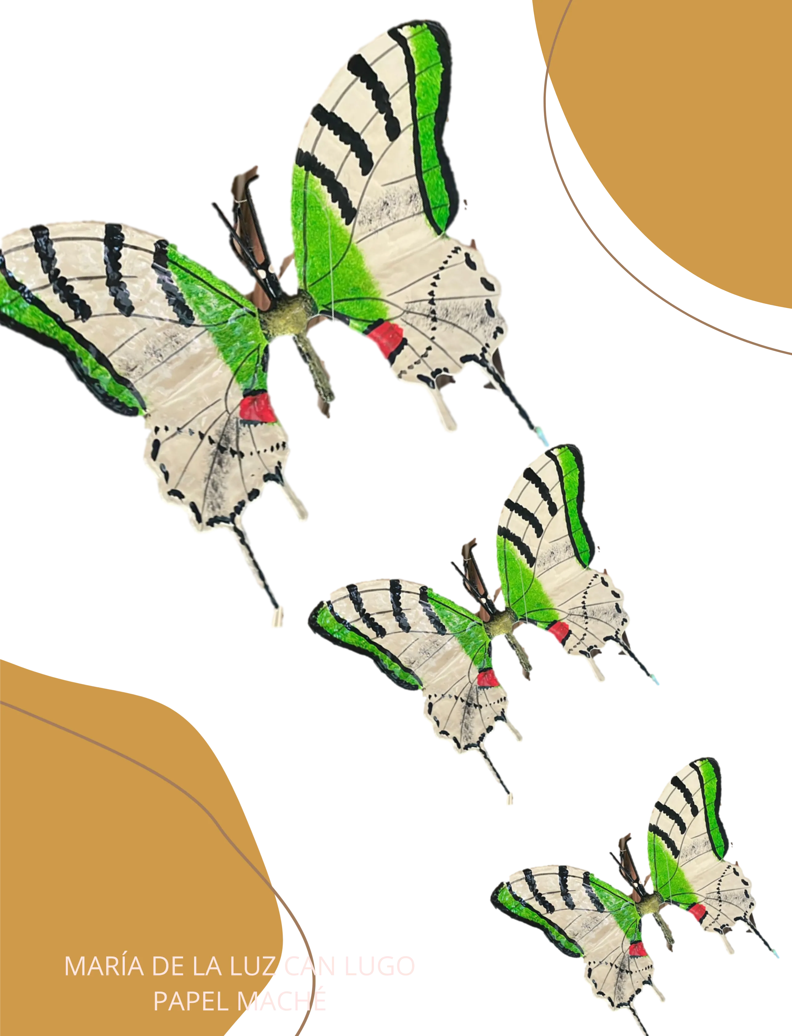 Papilio laglaly