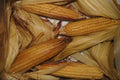 Pibil naal