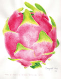 Pitahaya blanca de Yucatán