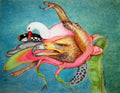 Pitahaya - Dragon fruit