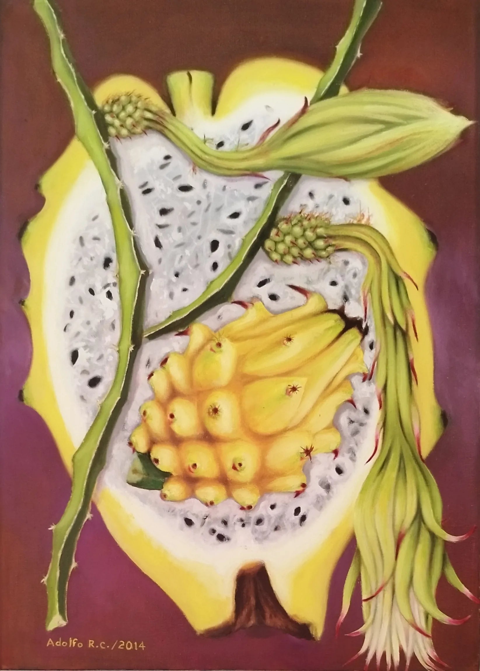 Pitahaya amarilla de Colombia