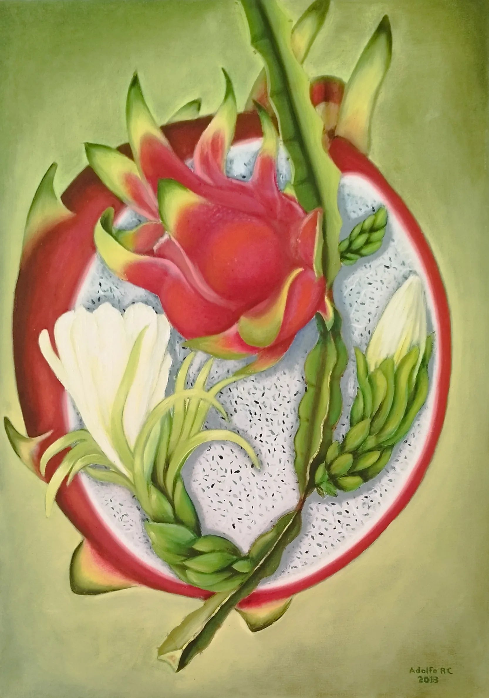 Pitahaya roja de Yucatán