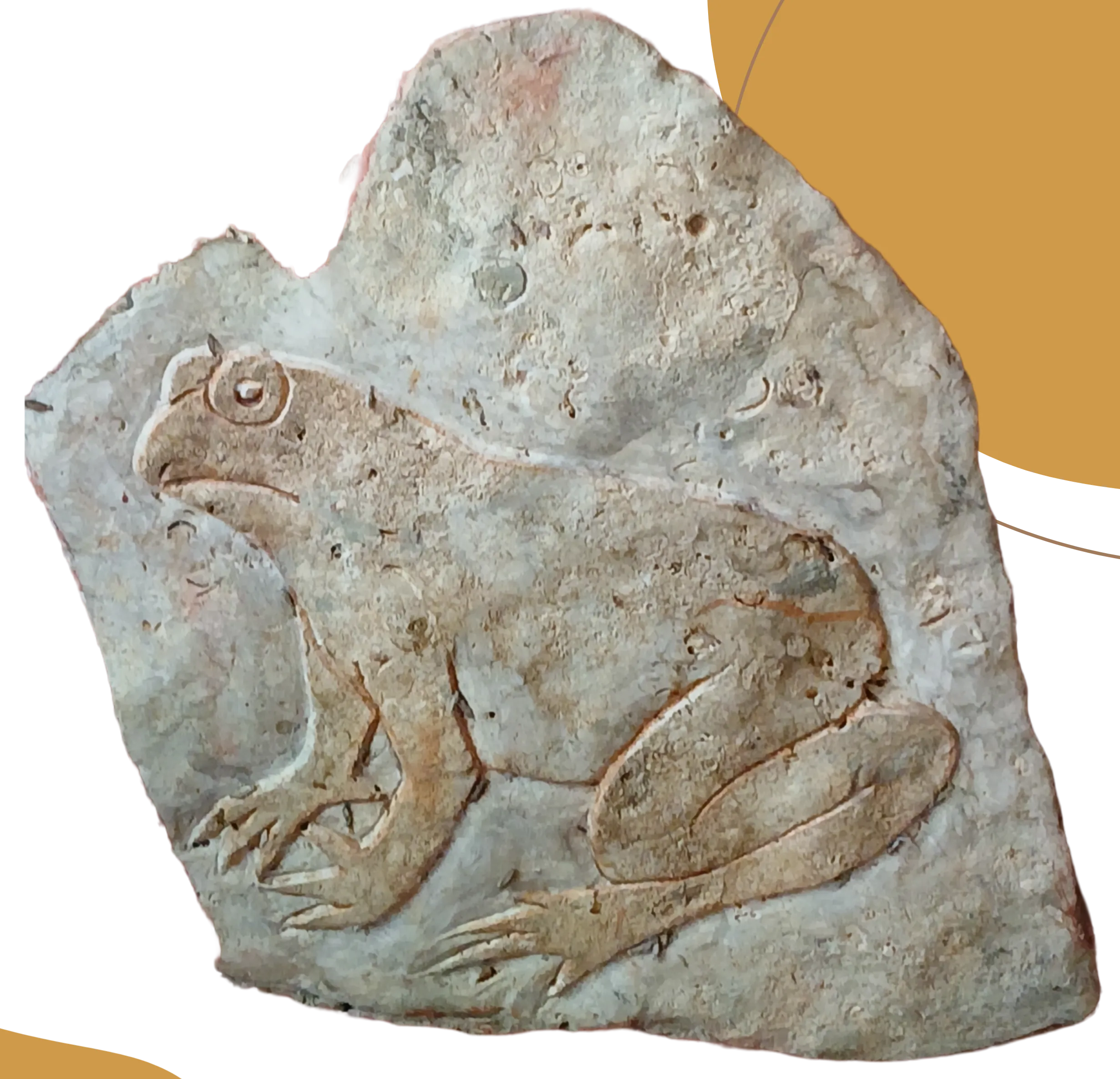 Rana de piedra