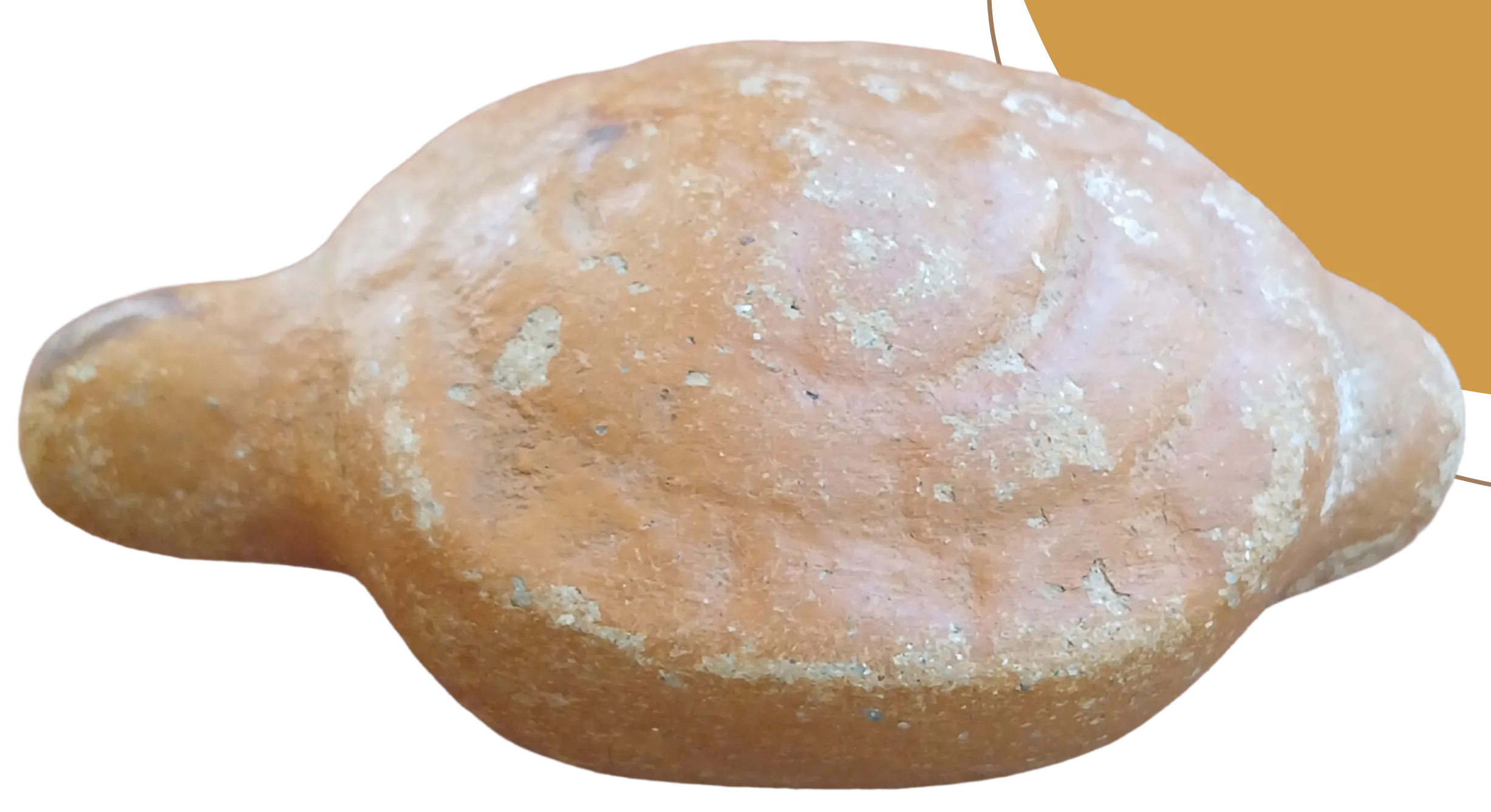 Tortuga de barro