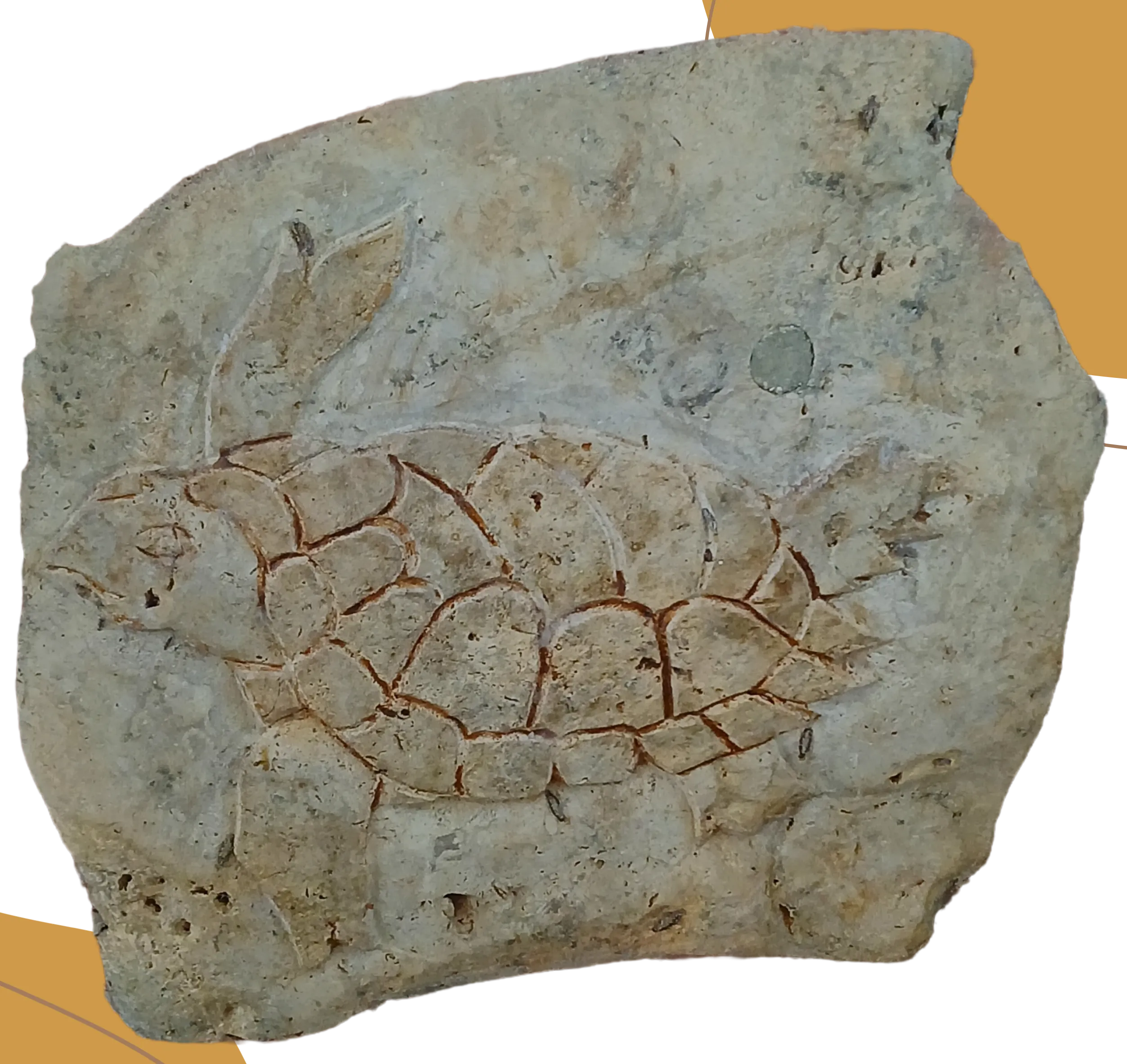 Tortuga de piedra