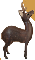 Venado cola blanca de madera de chacaj