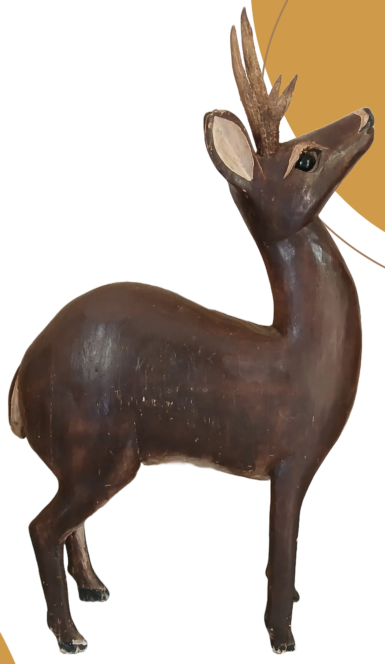 Venado cola blanca de madera de chacaj