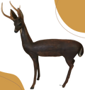 Venado cola blanca de madera de jabín