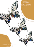 Zebra-swallowiail